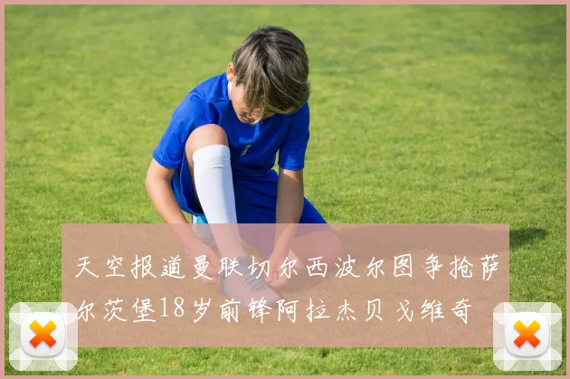 天空报道曼联切尔西波尔图争抢萨尔茨堡18岁前锋阿拉杰贝戈维奇