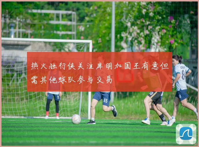 热火独行侠关注库明加国王有意但需其他球队参与交易