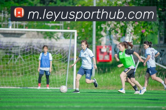 App Interface Preview