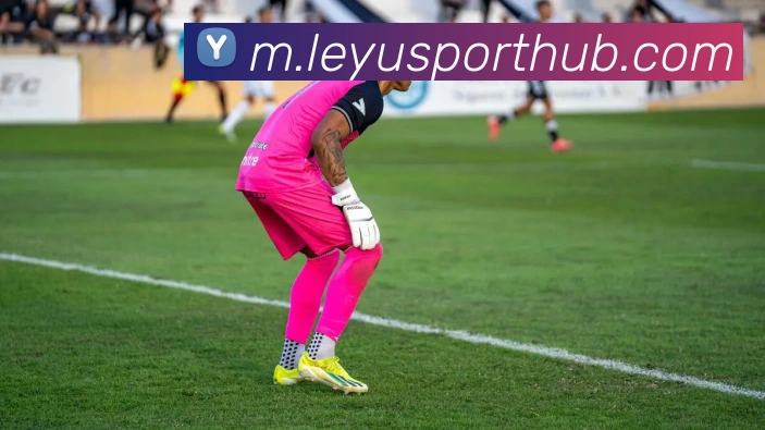 乐鱼体育APP 封面图